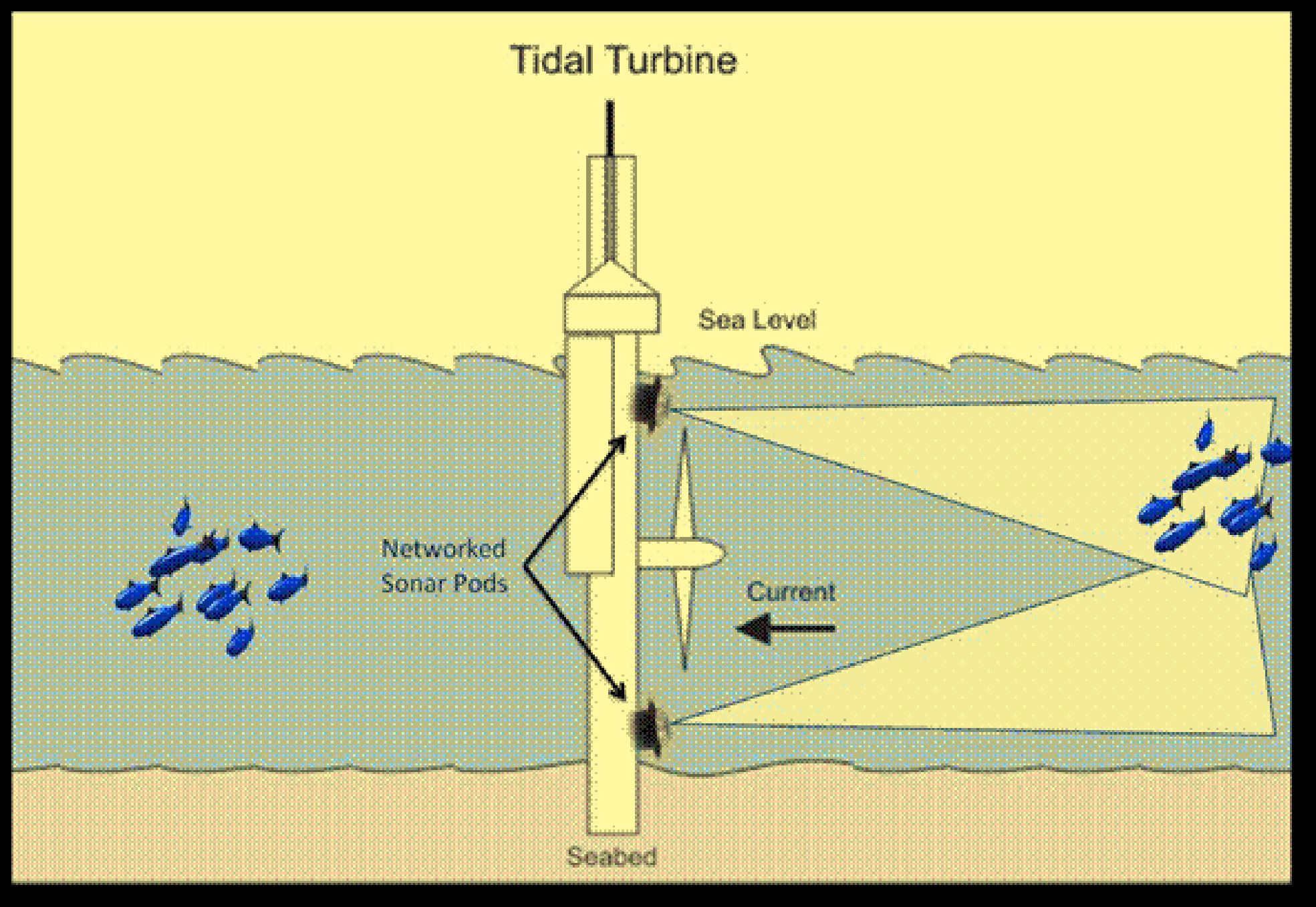 Where does tidal energy come from?